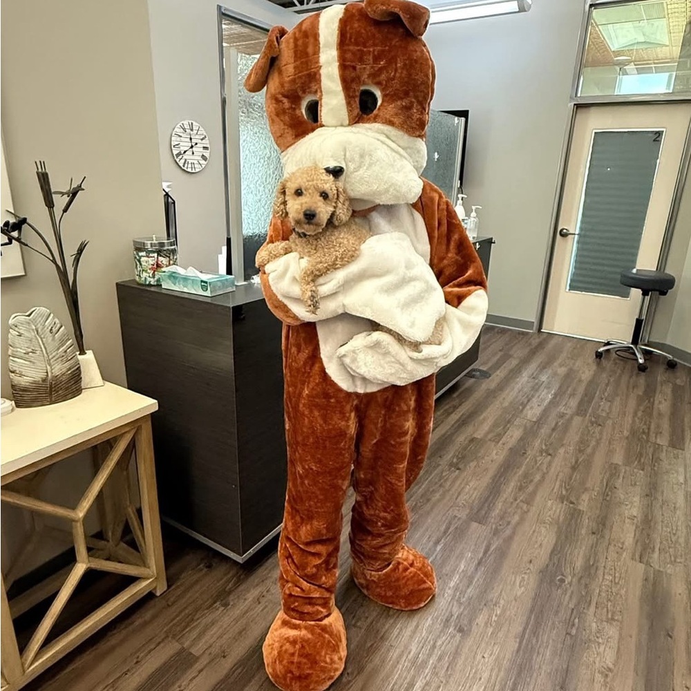 Plush Brown and White Dog Costume